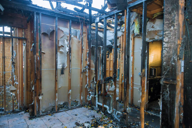 Professional Fire Damage Removal technician working in Blue Point, NY